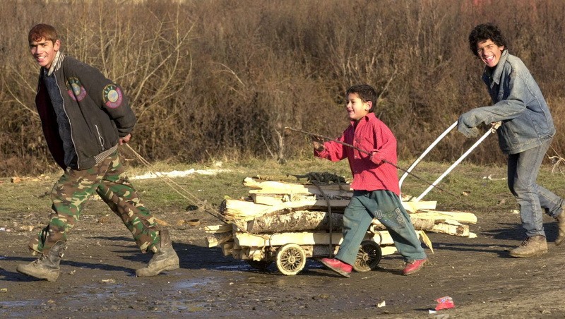Zásobenie sa palivovým drevom je podmienkou prežitia v rómskych osadách.</p><p>Obec Svinia, 9. december 2002.